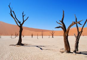 Namibie deadvlei
